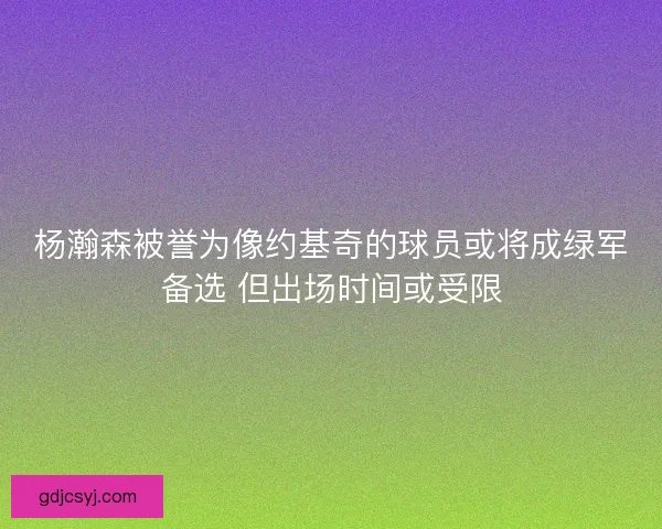 杨瀚森被誉为像约基奇的球员或将成绿军备选 但出场时间或受限