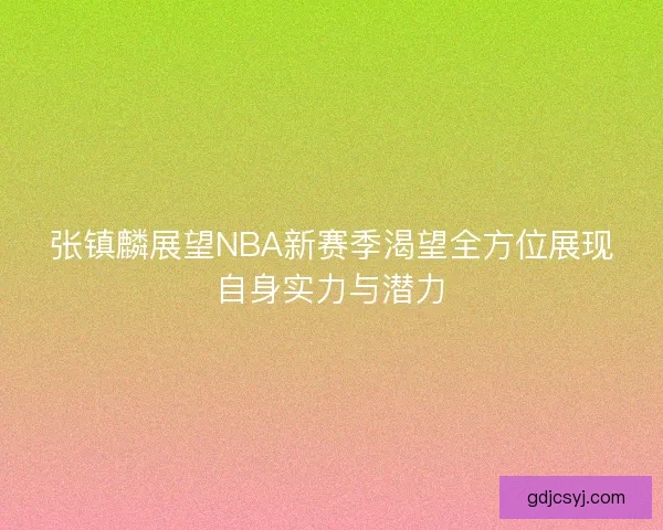 张镇麟展望NBA新赛季渴望全方位展现自身实力与潜力