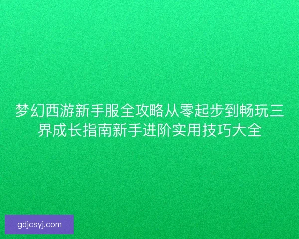 梦幻西游新手服全攻略从零起步到畅玩三界成长指南新手进阶实用技巧大全 梦幻西游新手服全攻略从零起步到畅玩三界成长指南新手进阶实用技巧大全