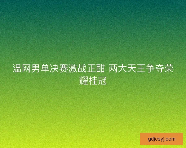温网男单决赛激战正酣 两大天王争夺荣耀桂冠