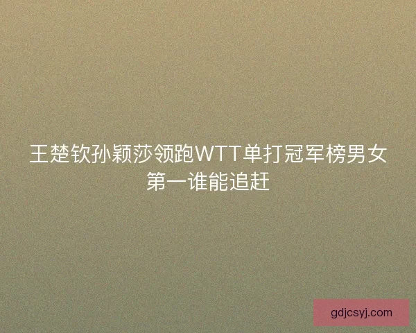 王楚钦孙颖莎领跑WTT单打冠军榜男女第一谁能追赶