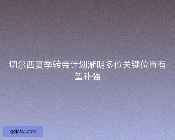 切尔西夏季转会计划渐明多位关键位置有望补强 切尔西夏季转会计划渐明多位关键位置有望补强